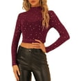 thumbnail image 1 of INSPIRE CHIC Blouse Courte à Manches Longues Col Montant Étoiles en Maille Transparente Bourgogne P, 1 of 5