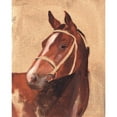 thumbnail image 3 of Green, Jacob 12x14 Black Modern Framed Museum Art Print Titled - Thoroughbred III, 3 of 5
