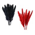 thumbnail image 1 of 30x manojo de flores de caña de hierba de pampas secas, , de decoración bohemia, 1 of 9