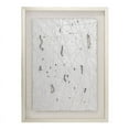 thumbnail image 2 of Gild Design House Lustrous Beauty Framed Shadow Box in Silver, 2 of 4