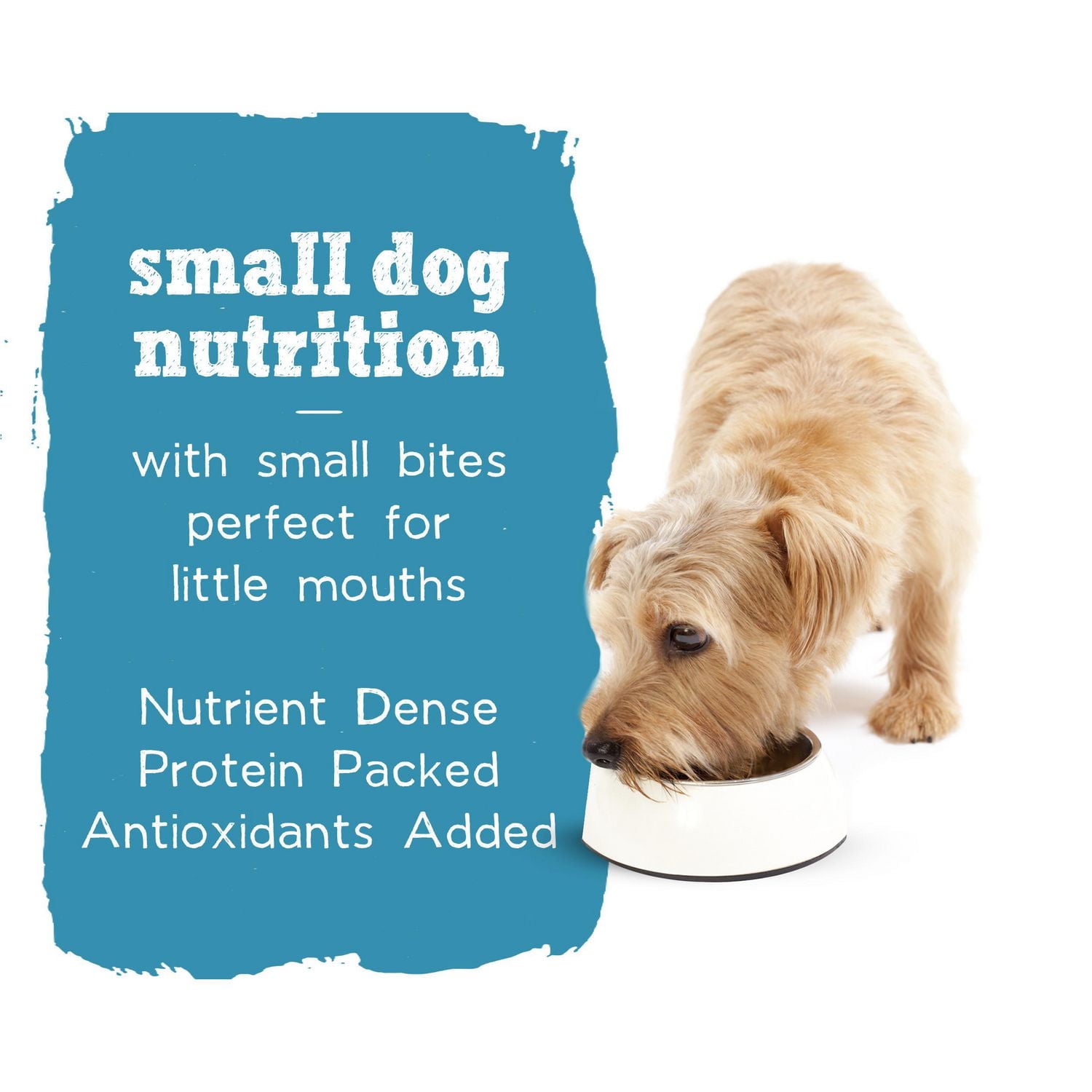 Beneful IncrediBites Chicken & Salmon in Gravy Variety Pack, Wet Dog Food 24 x 85 g, 24 x 85 g