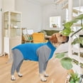 thumbnail image 3 of Traje de recuperación para perros, ropa de casa para mascotas, pijama transpirable de alta elasticidad, mono de protección operativa para cachorros, mono de manga larga, 3 of 4