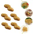 thumbnail image 2 of Miangastore 5 Pcs Modèles D\'arachide Simulation Faux Fruits Secs Accessoires Photo pour Magasin, 2 of 8