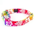 thumbnail image 3 of Country Brook Petz® Hawaiian Rainbow Martingale Dog Collar, 2XS, 3 of 5