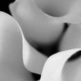 thumbnail image 3 of Floral 26 Calla Lily By Michael Faragher Canvas Art Print 30" x 30", 3 of 4