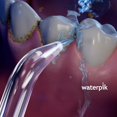 thumbnail image 2 of Waterpik Punta Jet clásica, JT 100E, 2 of 4