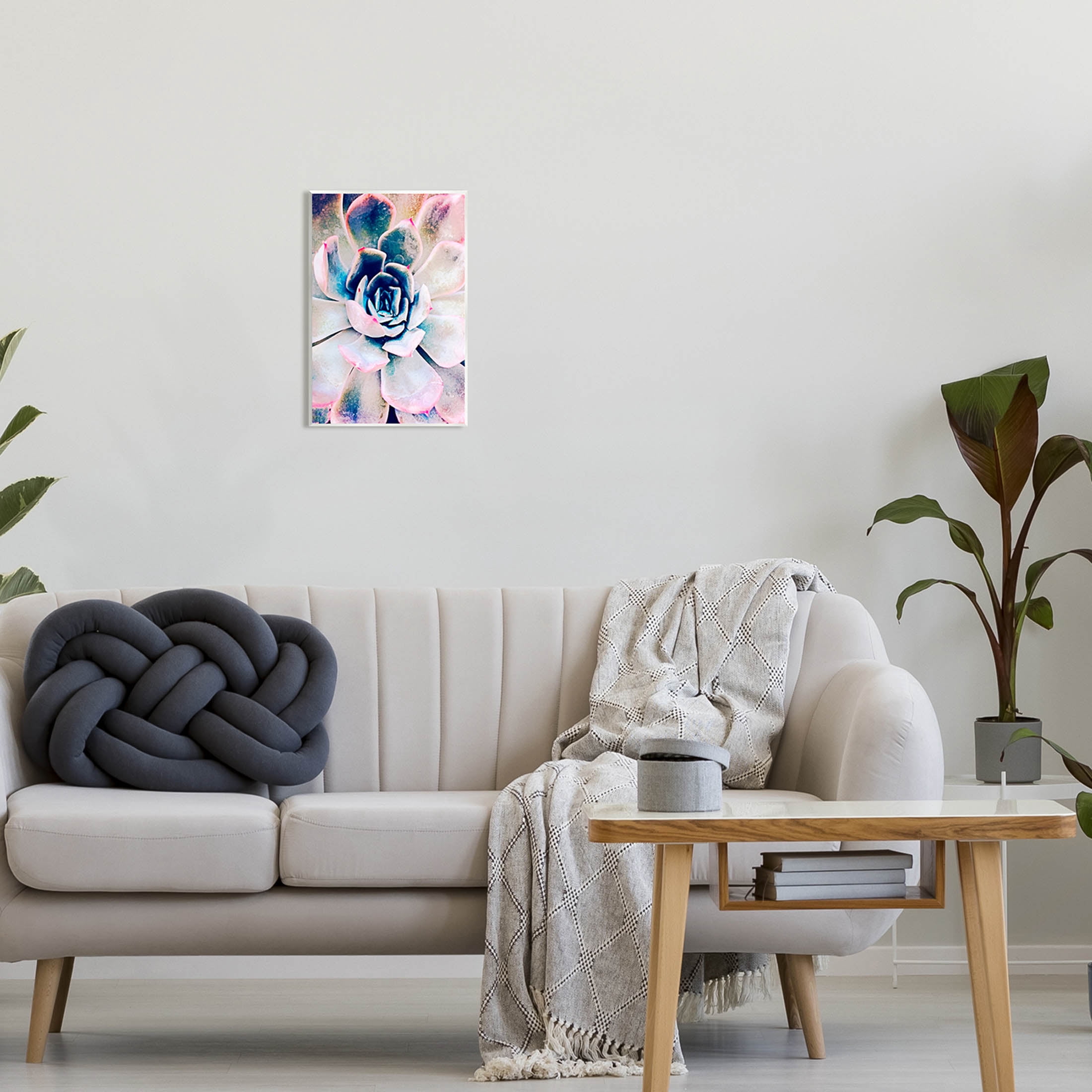 Modern Succulent Plant View Botanical & Floral Photograph Unframed Art Print Wall Art