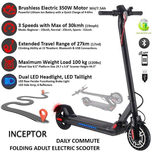 HOVERBIRD INCEPTOR Electric City Scooter - 8.5" Tire - 350Watt/36V/7.5Ah, LED Light, LCD Display - Teens to Adults - Black
