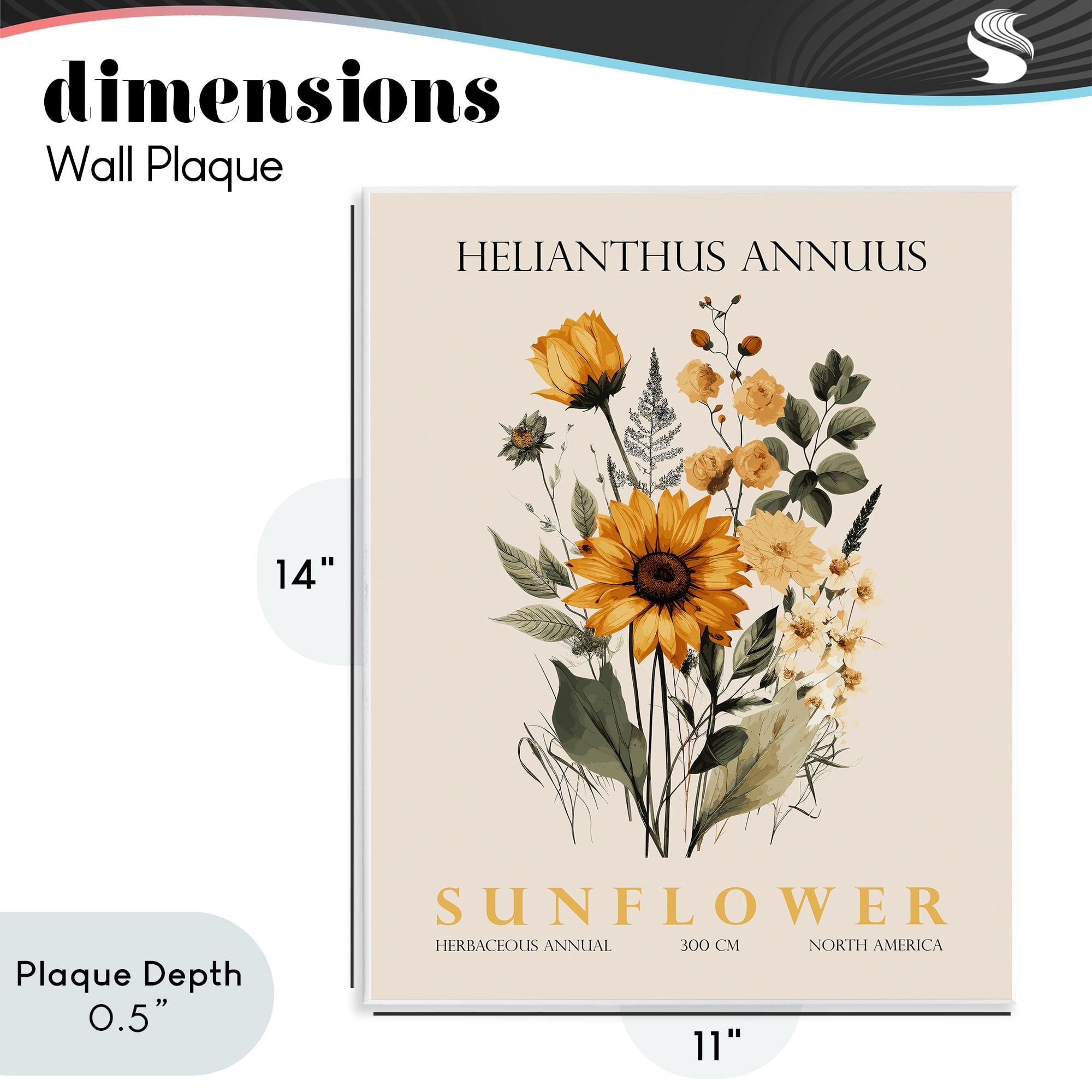 Stupell Industries Natural Sunflower Bundle Wall Plaque Art, design by Christopher Giampietro
