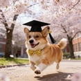 thumbnail image 6 of Luxcidy Pet Graduation Cap and Bow Tie, 2026 Back to School Dog Cat Costume, Adjustable Elastic Strap for Photos, Cute Props for Commencement, Necklace Decor, 6 of 6