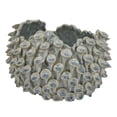 thumbnail image 2 of Nina Decorative Bowl, Light Blue, Textured Coral Gray Ceramic, 11 Inch, 2 of 7