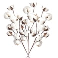 thumbnail image 1 of 3 Piezas De Algodón Floral Seco, Tallos De Flores, Relleno Decorativo, Decoración Para El Hogar, 1 of 8