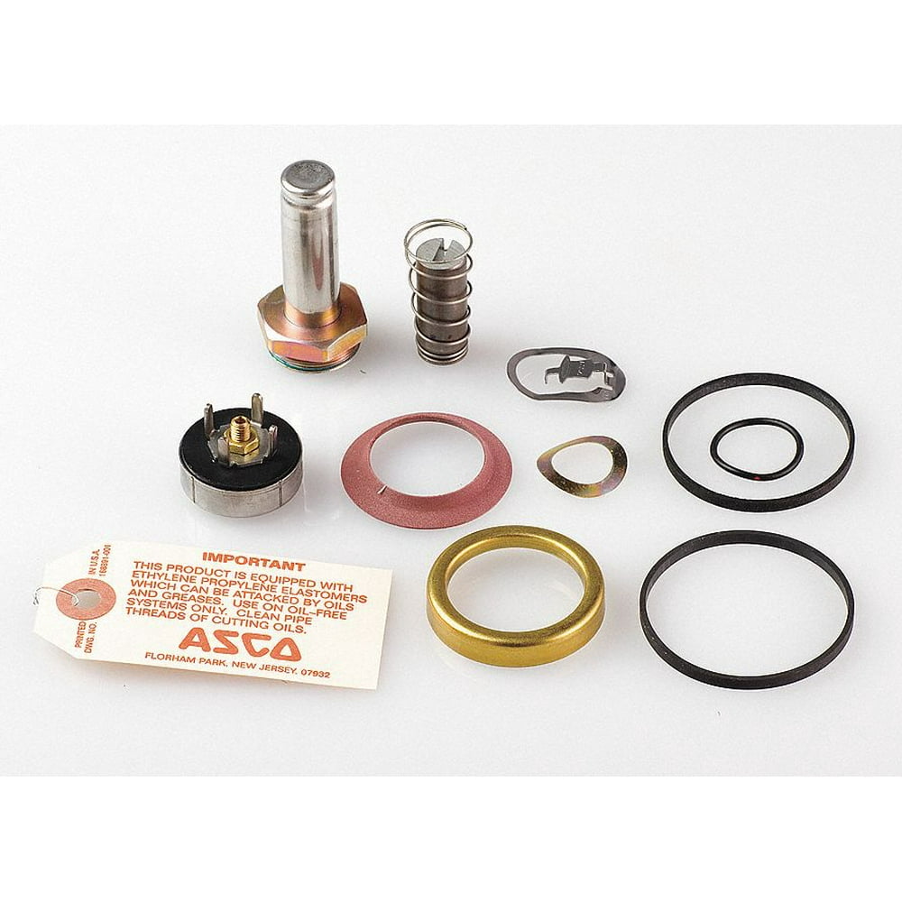 Asco Valve Rebuild Kit,With Instructions 310716