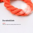 thumbnail image 4 of Dog Leash Slip Rope Braided Rope 1.7m Heavy Duty No Pull Training Leash for Small, 4 of 8