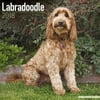 Labradoodle Calendar 2018 - Dog Breed Calendar - Wall Calendar 2017-2018