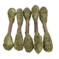 thumbnail image 4 of Chew Toy, Minerals Alfalfa Grass Teeth Grinding Promote Digestion  Chew Sticks  For Squirrels, 4 of 8