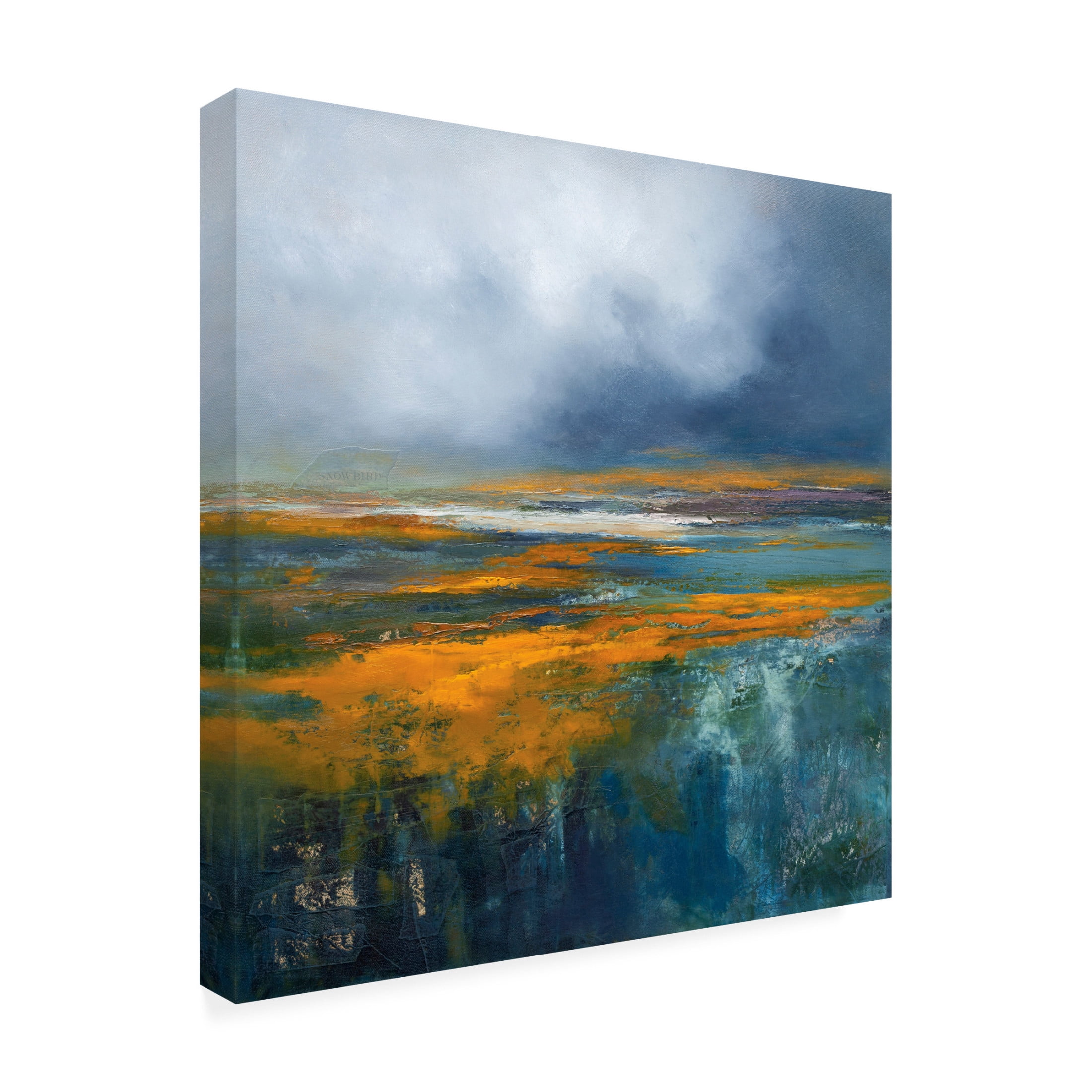 Canvas Wall Art - Patrick Dennis 'Snowbird' Wall Art for Living Room, Bedroom, or Office Décor by Trademark Fine Art - 24 x 24 Inches