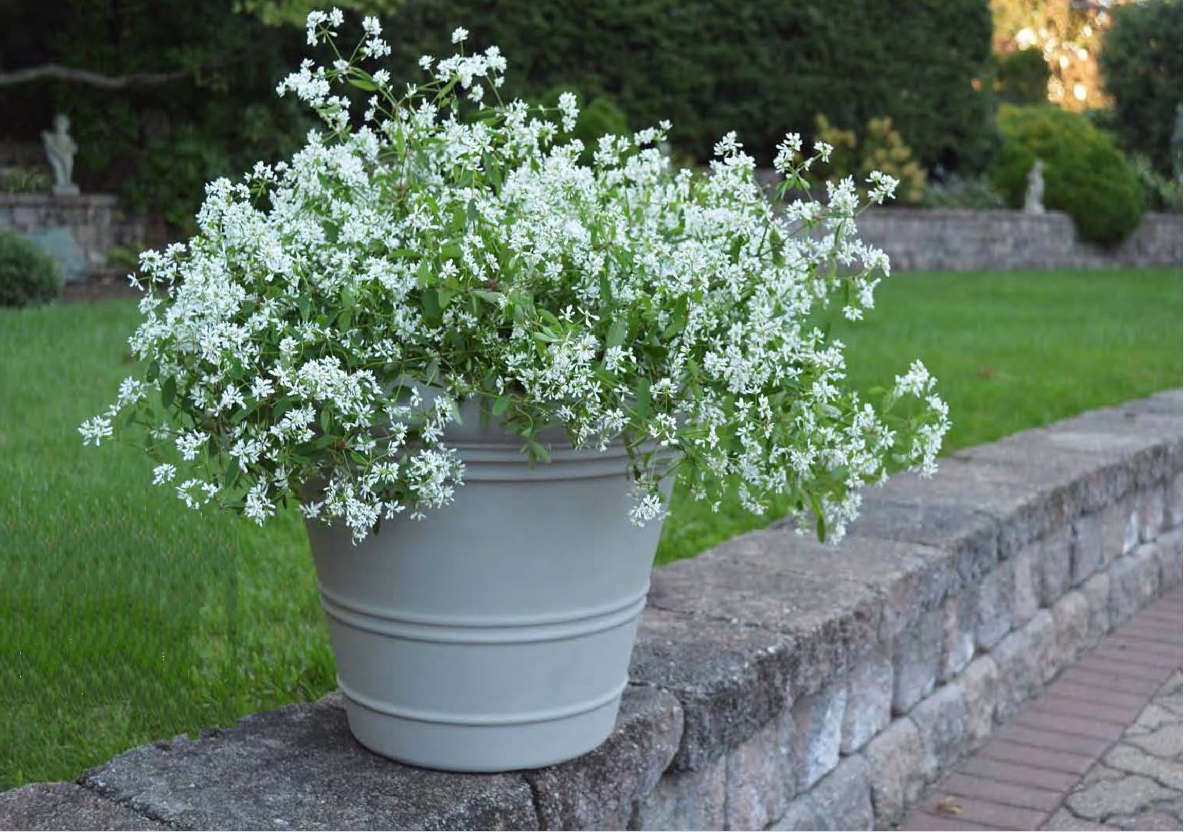 22.5" Milano Large Round Planter. Frost Resistant Polyresin Outdoor Flowerpot Patio Garden
