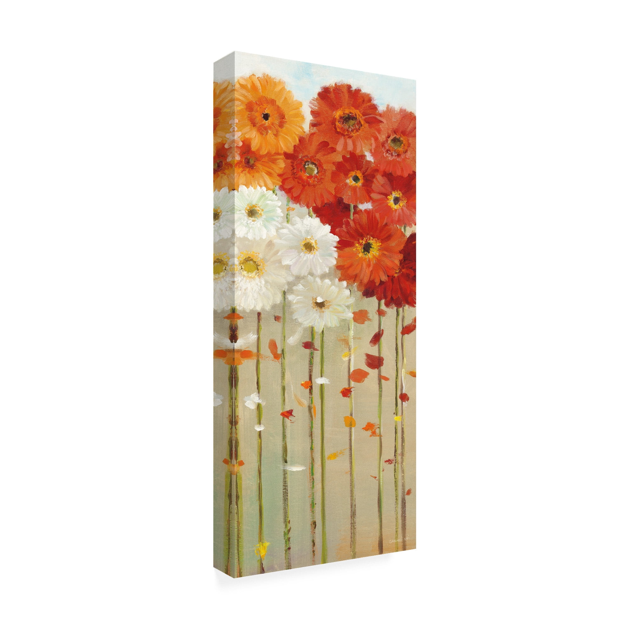 Trademark Fine Art 'Daisies Fall II' Canvas Art by Danhui Nai