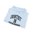 thumbnail image 4 of Dentist Dental Future School Student Hoodie, Gifts, Hooded Sweatshirt, 4 of 4