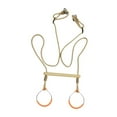 thumbnail image 1 of TISHITA Trapeze Bar with Gym Rings Climbing Frame Attachment for Garden Backyard Gym, 1 of 7