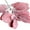 Red*10pcs, variant on Travelwant 10Pcs/Bouquet Artificial Flowers Flocked Rabbit Ear Leaf, Faux Lambs Ear Stems 5Pcs Flocked Artificial Greenery Solid Spray Fake Rabbit Ear Leaves for Home Wedding DIY Craft