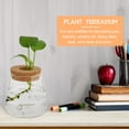 thumbnail image 4 of FENGGUIQU 2Ud Terrario De Vidrio Para Plantas Hidroponías Con Acabado Para Y Oficina, 4 of 8