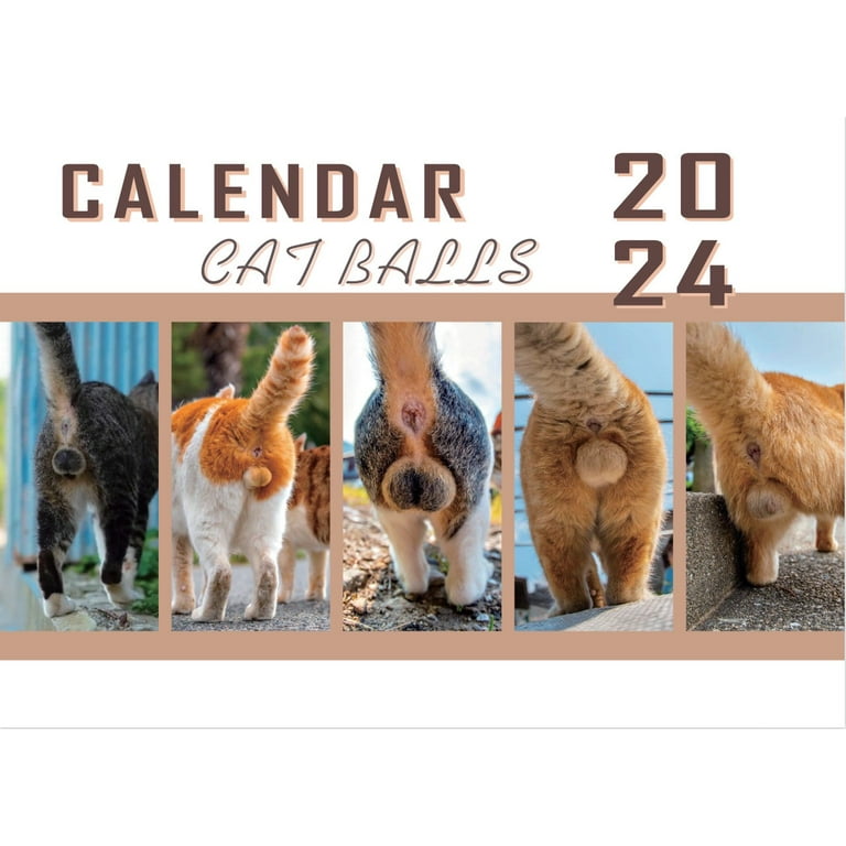 Cat Pooping Calendar 2024 qclinic.nl