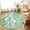 Green, variant on Large Area Rugs 8'x10', Teal Green Coastal Carpet Runner Indoor Outdoor Rugs Home Decor Aesthetic, Summer Beach Nautical Starfish Shell Coral Non Slip Mats Washable Accent Rug for Living Room Bedroom