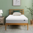 thumbnail image 1 of Zinus 10 inch Green Tea Essential Memory Foam Mattress, 1 of 12