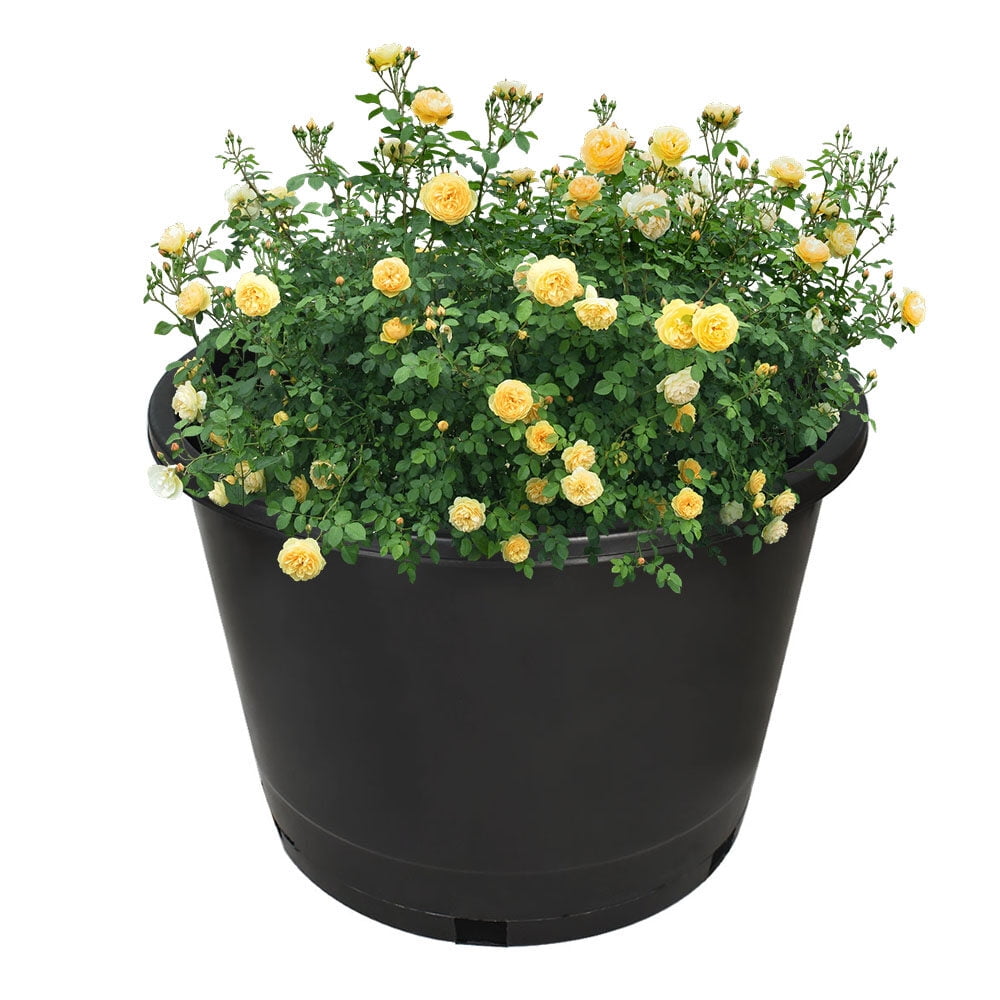 1/2/3/5/7/10/15gallon Heavy Duty Large Premium Nursery Pot Root Garden Container
