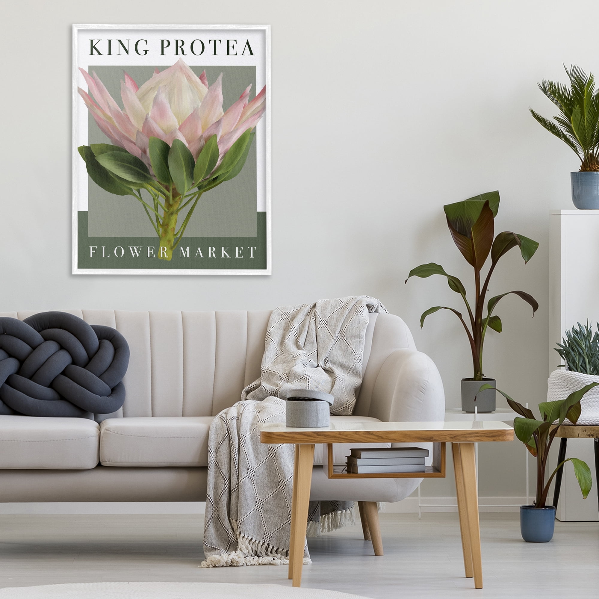 Stupell Industries King Protea Flower Market White Framed Giclee Art, design by Jennifer Stith