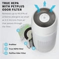thumbnail image 2 of Filtro de repuesto para purificador de aire Homedics TotalClean PetPlus, 2 of 7
