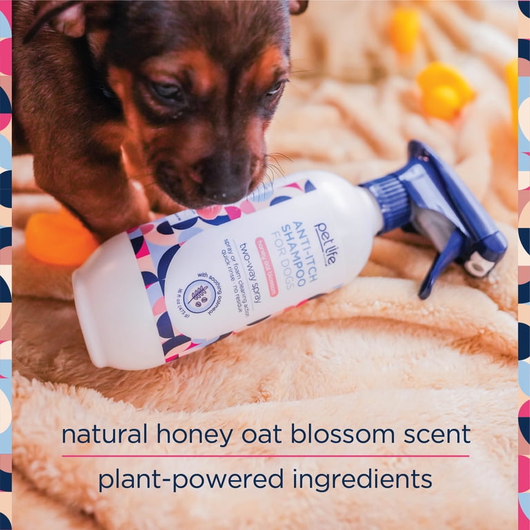 Pet Life Unlimited Anti-Itch Dog Shampoo, Honey Oat 16oz photo 8