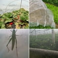 thumbnail image 6 of Insect Protection Net Garden Plant Insect Vegetables Fruit Flower Protection Greenhouse Cover Control Pest Anti-Bird, 6 of 10
