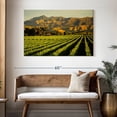 thumbnail image 3 of Elephant Stock Blenheim Vineyard Wall Art - Horizontal Canvas Wall Art - Living Room Wall Decor - Nature Canvas - Gold And Green Decor - 48" x 32", 3 of 8