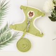 thumbnail image 1 of Conjunto de arnés y correa para conejos, accesorios para mascotas, chaleco, correas para conejos para caminar al aire libre, suministros para mascotas, novedad, 1 of 4