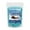 Light blue*1, variant on Car Window De-Icing Agent & Multi-Purpose Ice Melt, Pet Safe Snow Salt for Driveway, Sidewalk, and Vehicle, Anti-Fog, Winter Visibility Enhancer 100g
