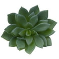 thumbnail image 4 of Plantas Suculentas Artificiales Colco para decoración de arreglos, 4 of 7