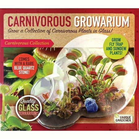 Unique Gardener: Carnivorous Growarium - DIY Double-Sphere Glass Terrarium Starter Kit, Grow Mini Venus Fly Trap & Sundew Plants, Nature, Adult & Kids