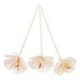 thumbnail image 1 of Shisuyan Replace Diffuser Sticks Bedroom Calming 3Pcs 6.7X2X2In, 1 of 8