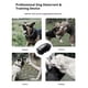 thumbnail image 4 of Ultrasonic bark stop device for dogs, intelligent dog drive device, pet training device, anti barking automatic dog training and bark stop device, 4 of 5