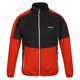 thumbnail image 1 of Regatta - Chaqueta Softshell Yare VII para Hombre (Naranja Oxidado, Ceniza), 1 of 4