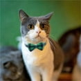 thumbnail image 4 of Kitten Collar Adjustable Pet Neck Strap Plaid Cat Collar with Bow Tie Bell Safety Buckle Cute Plaid Pattern Pet Accessory for Cats Small Dogs, 4 of 5