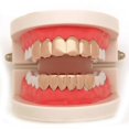 thumbnail image 1 of Hip Hop Teeth Grillz Caps Top & Bottom Grill Fang Set, 6 Teeth Grillz Top and Bottom Grills Set Shiny Hip Hop Teeth Grillz, 1 of 3