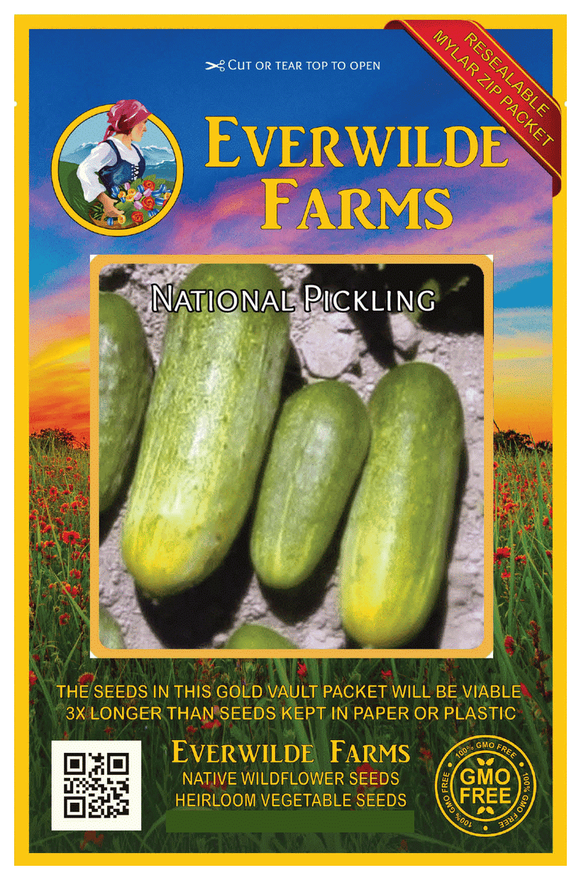 Cucumber Turbo Great Hybrid Garden Vegetable 15 Seeds 