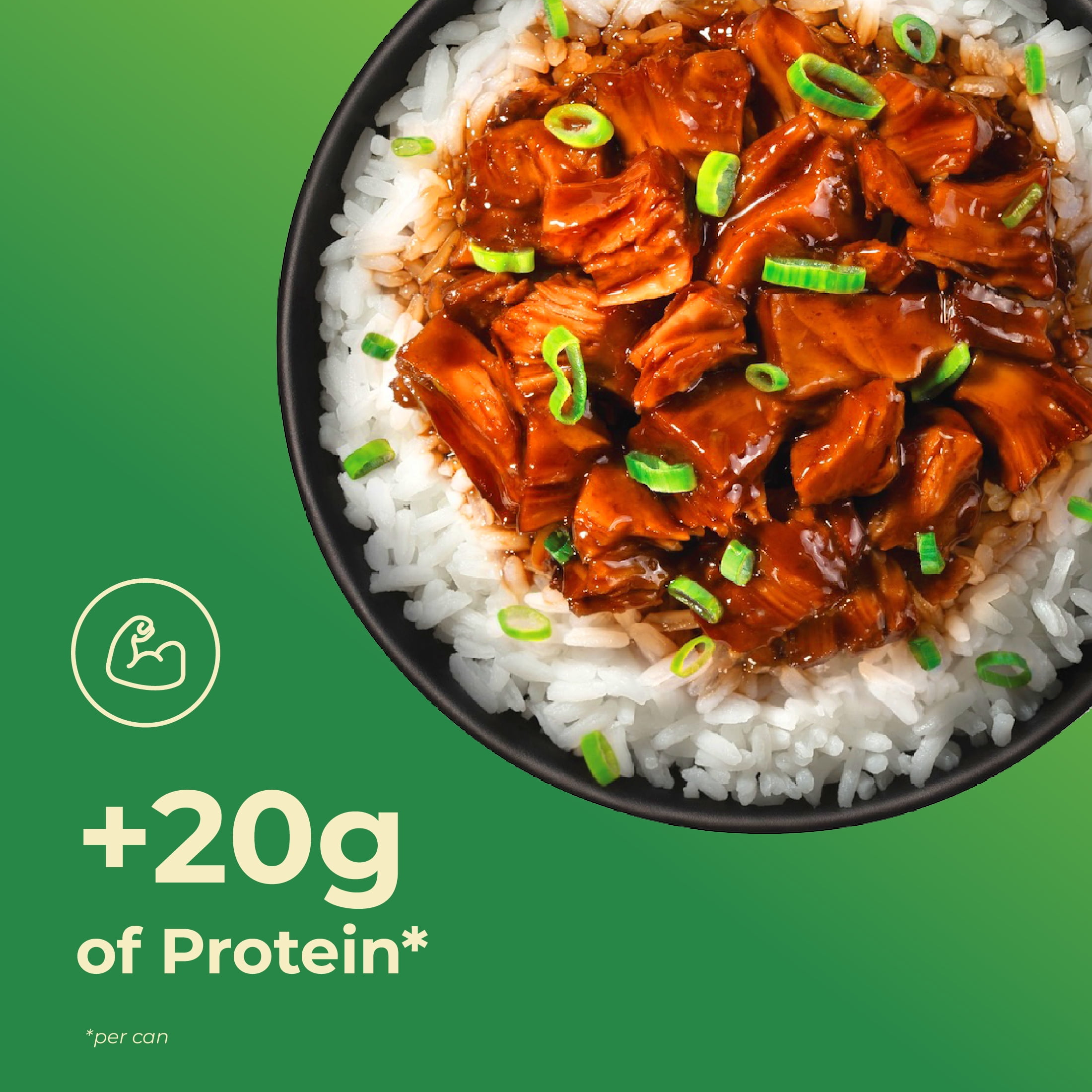 (2 pack) unMeat Plant-Based Chicken Teriyaki, 12.6 oz Can