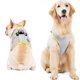 thumbnail image 2 of Arnés de enfriamiento de verano para mascotas, chaleco transpirable para la espalda y el pecho, correa para el pecho, arnés transpirable para cachorros de perro, talla XS, 2 of 6