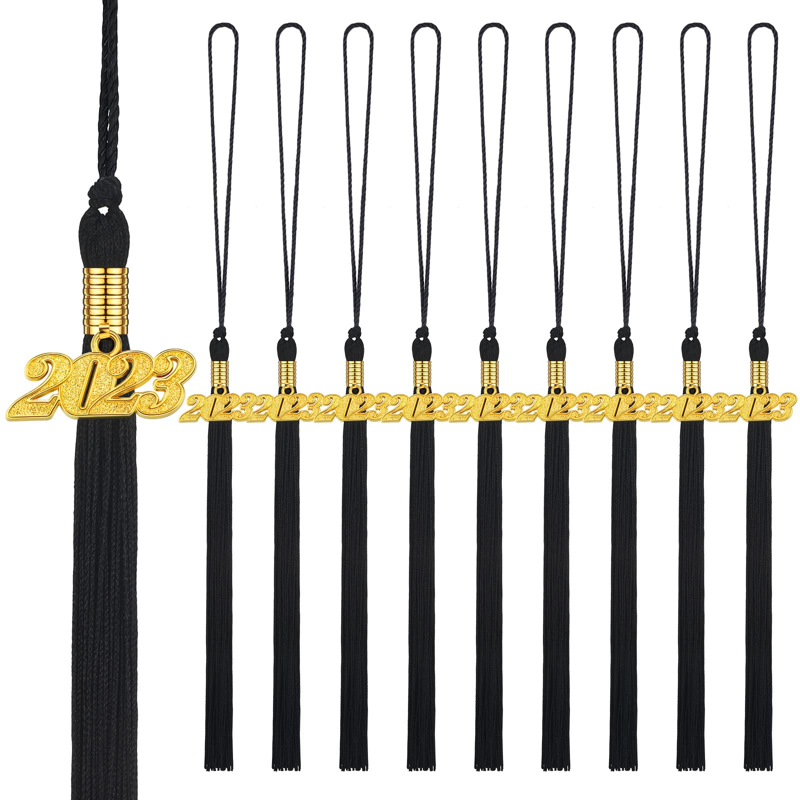 10Pieces graduation tassels 2023, graduation tassel with graduation