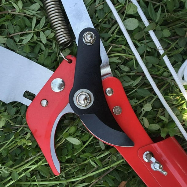 Branch cutting shears outlet